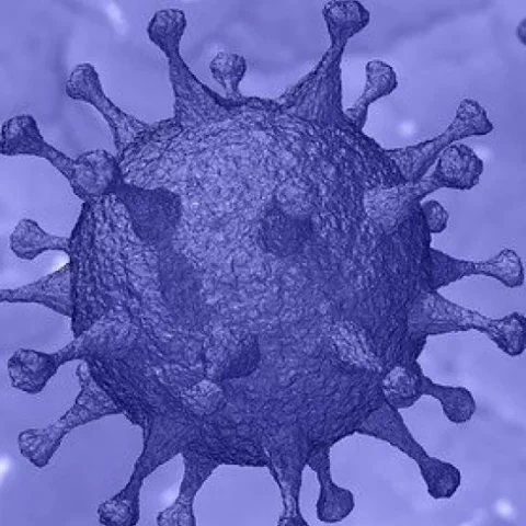 covid-19-coronavirus_1126_633_90_s_c1-1110x550