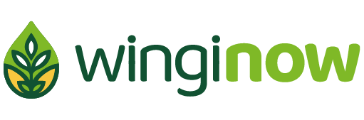 Winginow Digibus Logo